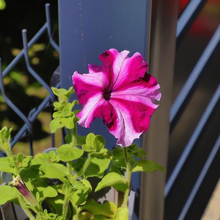 Apartman Ozimice 2 Bihać Buitenkant foto